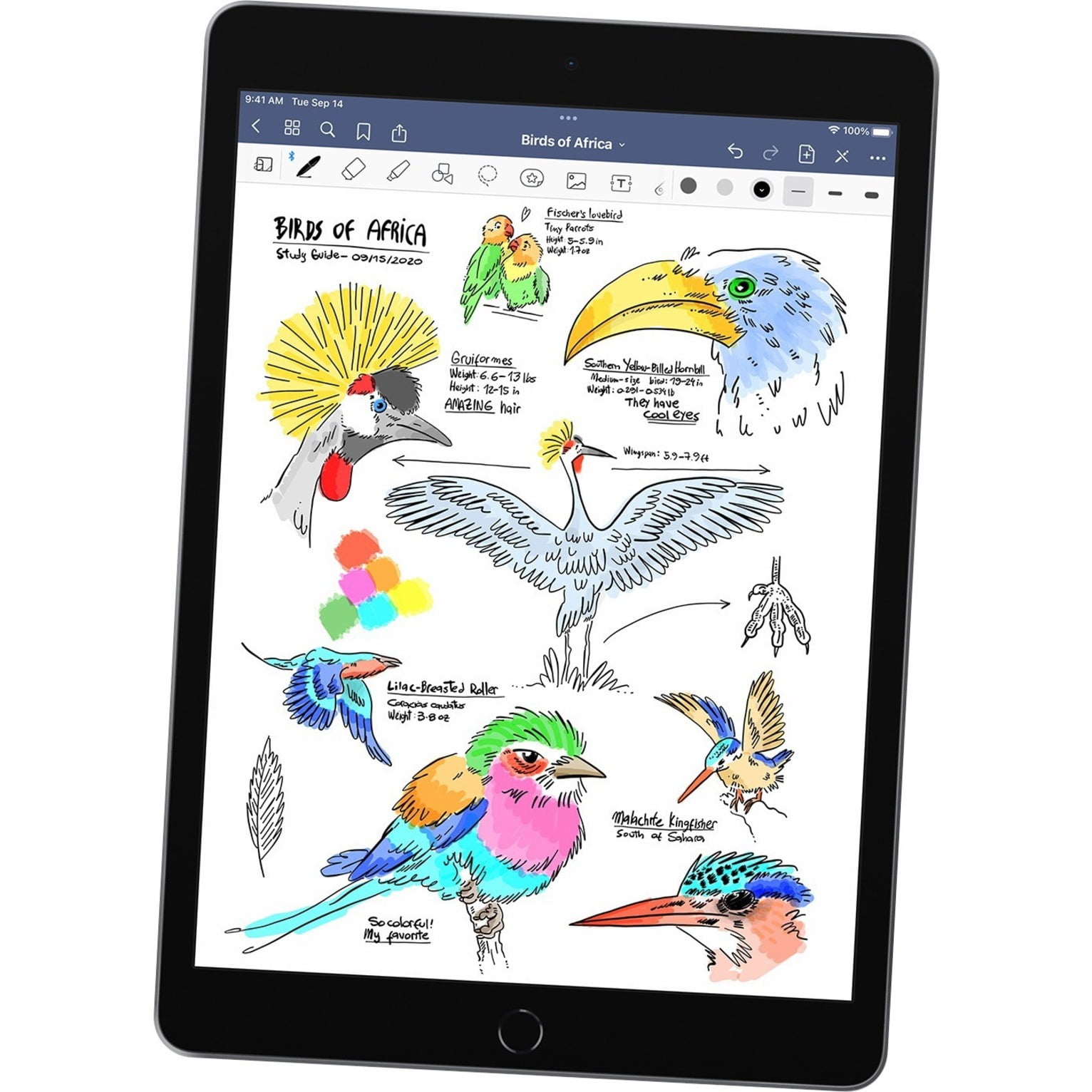 Restored Apple iPad 9th Gen 3K2K3LL/A - 64GB Space Gray (Refurbished)