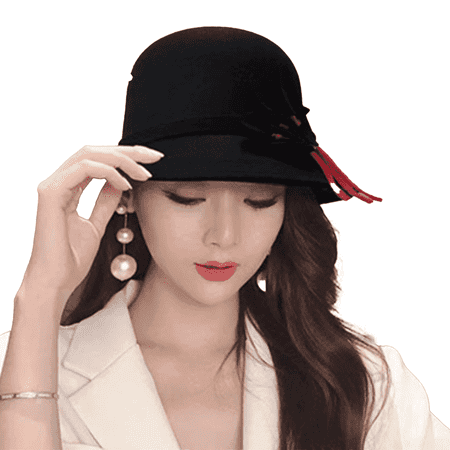 TELOLY Top Hat Women Summer Korean Style Retro Woolen Hat Hats for Women Dome Bow Socialite Fashionable Warm Basin Hat Womens Hats,Black,Leaves