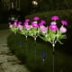 thumbnail image 1 of Fiudx Ofertas flash del día Luces solares de flores para exteriores, luces solares decorativas para jardín, luces LED de estaca, encendido/apagado automático, brillantes hasta 8 horas, 1 of 6