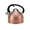 Copper, variant on Whistling Tea Kettle 3 Liter Copper Hammered Stainless Steel Stovetop Kettle - Ergonomic Handle with Push Button Spout