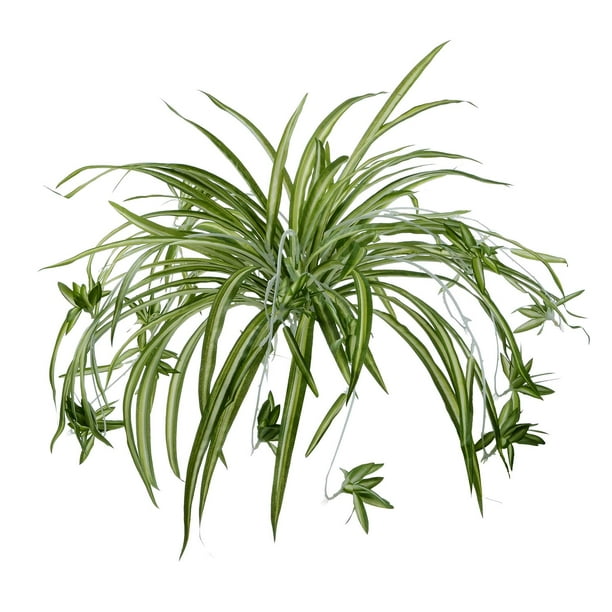 2 Pack Artificial Flowers Spider Plants Fake Silk Plant Faux Greenery Artificial Plants Home Wall Indoor Outdside(Not Include Hanging Basket)