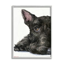 Stupell Industries Sleepy Scottish Terrier Portrait Adorable Pet Dog Grey Framed, 11 x 14, Design by George Dyachenko