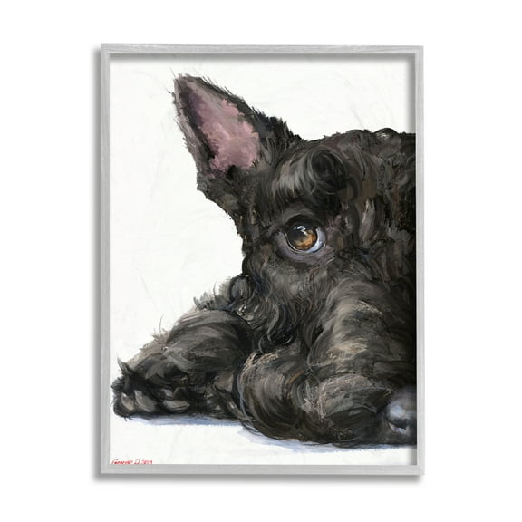 Stupell Industries Sleepy Scottish Terrier Portrait Adorable Pet Dog Grey Framed, 11 x 14, Design by George Dyachenko