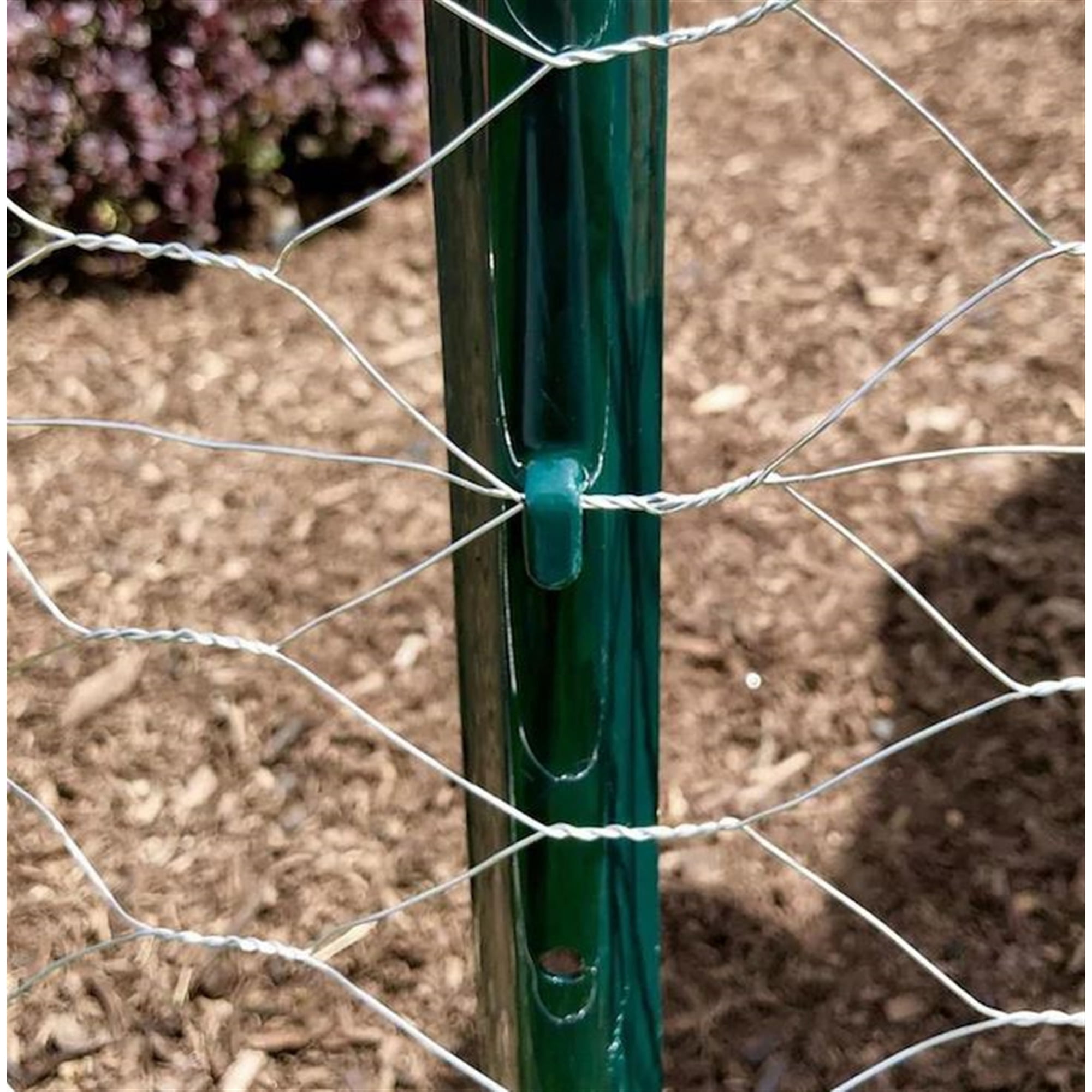 Garden Zone 2' x 50' Galvanized Steel Hex Poultry Netting
