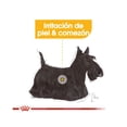 thumbnail image 3 of Alimento Perro Raza Pequeña Sensitive Skin 1.3Kg Royal Canin Royal Canin Alimento Croquetas para Perro, 3 of 3