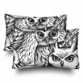 thumbnail image 1 of GCKG Seamless Pattern Owls Animal Pillow Cases Pillowcase 20x30 inches Set of 2, 1 of 4