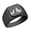 Black, variant on Wolf and Fox Stainless Steel Signet Ring