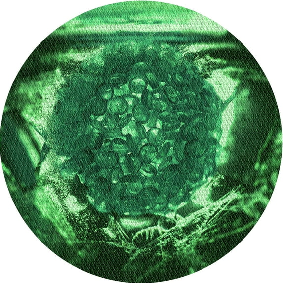 Ahgly Company Indoor Square Patterned Deep Emerald Green Area Rugs, 3' Square