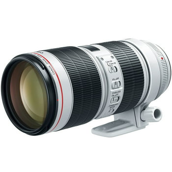 Canon EF 70-200mm f/2.8L IS III USM Telephoto Lens