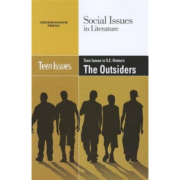 Pre-Owned Teen Issues in S. E. Hinton's the Outsiders