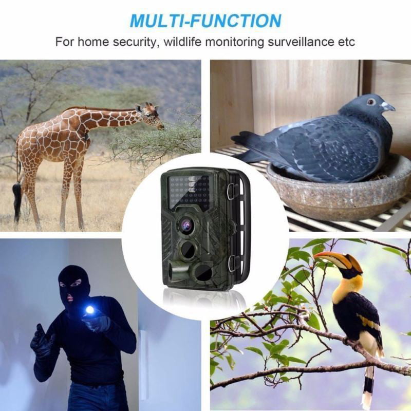 Details about   HD 1080P Trail Camera Wildlife Hunting Game 12MP Scouting Cam Night Vision 