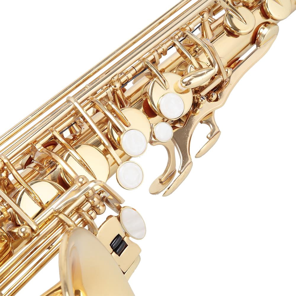 Glarry Professional Eb Alto Saxophone Kit with 11 Reeds/Case/Carekit, Gold
