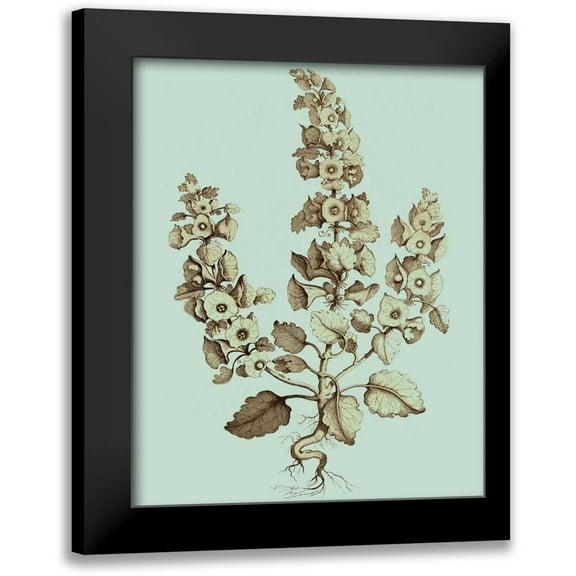 Munting, Abraham 12x14 Black Modern Framed Museum Art Print Titled - Imperial Munting II