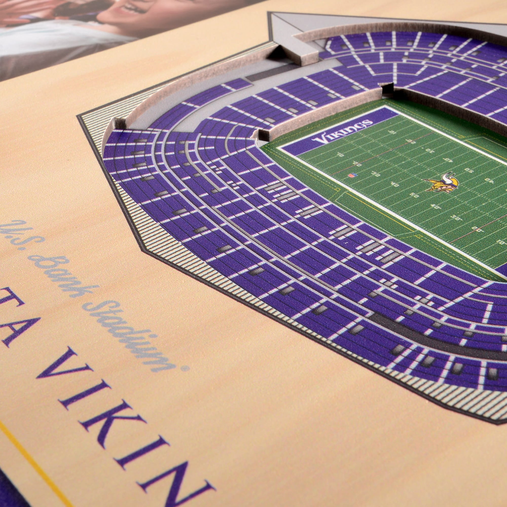 Fanpoint Minnesota Vikings 3D StadiumView Picture Frame