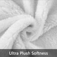 thumbnail image 5 of Throw Blanket for Teens Boys Girls and Adults Soft Warm Cozy Funny Food Midweight Flannel Blankets for Couch Sofa Bed Camping Travel Home Decor (Chicken Nuggets, inch) Chicken Nuggets, 5 of 7