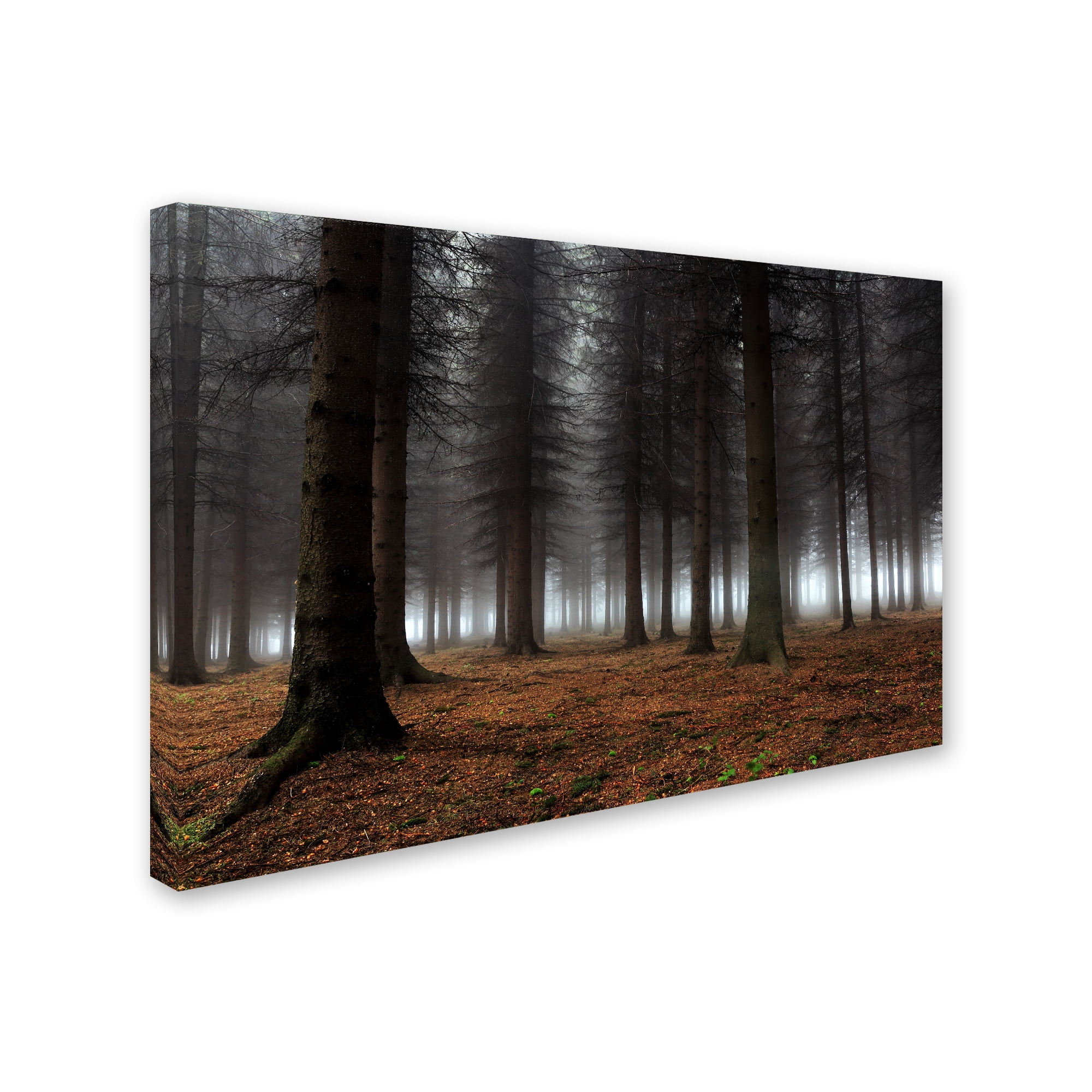 Trademark Fine Art 'Place Of Silence' Canvas Art by Dragisa Petrovic
