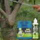 thumbnail image 2 of Tree pruning wound sealant, bark , grafting wax plant filler for beginners, garden care, winter hardiness, bonsai tree trunk, 2 of 5