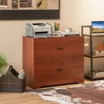 thumbnail image 2 of Costway 2-Drawer Wood Lateral File Cabinet with Adjustable Bars for Home Office Walnut, 2 of 10