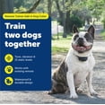 thumbnail image 2 of Collar de entrenamiento remoto PetSafe Add-A-Dog resistente al agua, 2 of 8
