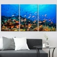thumbnail image 3 of wall26 Canvas Print Wall Art Set Blue Vibrant Jellyfish Tropical Ocean Sea Nature Animals Photography Realism Rustic Landscape Colorful for Living Room, Bedroom, Office - 24"x36" x 3, 3 of 5