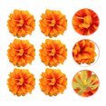 thumbnail image 1 of WEUVEB 6Ud Flores Falsas Para Adornos Y Artesanías Con Material Ligero Y, 1 of 6