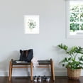 thumbnail image 3 of Art.com Eucalyptus III White Art Print by Danhui Nai, White Frame Wall Art, 17" x 21", 3 of 5