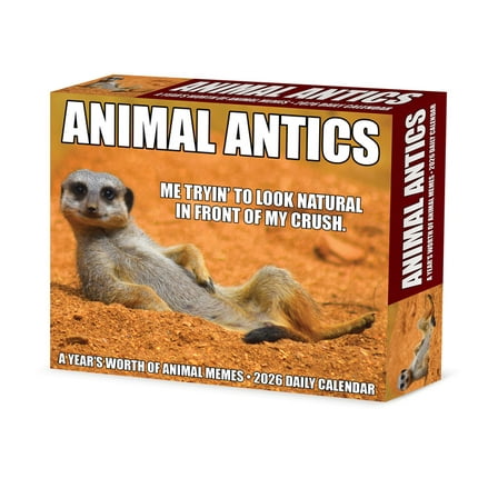 Animal Antics 2026 Box Calendar, (Paperback)