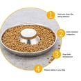 thumbnail image 3 of Cuenco De Alimentación Lenta Para Perros, Cuenco De Alimentación Lenta Para Perros Cachorros, Uso Conveniente De Acero Inoxidable Para Interiores, 3 of 7