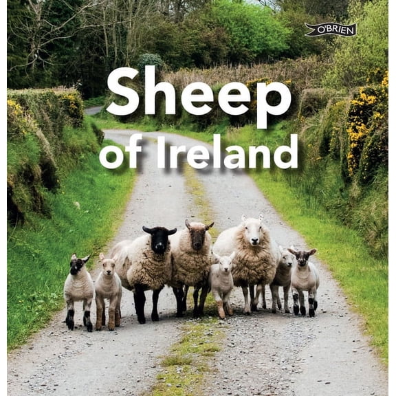 Sheep of Ireland (Hardcover)
