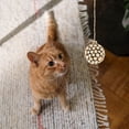 thumbnail image 2 of Miangastore BiteResistant Cat Toy in Assorted Colors for Pet Use Made of Synthetic Material, 2 of 8
