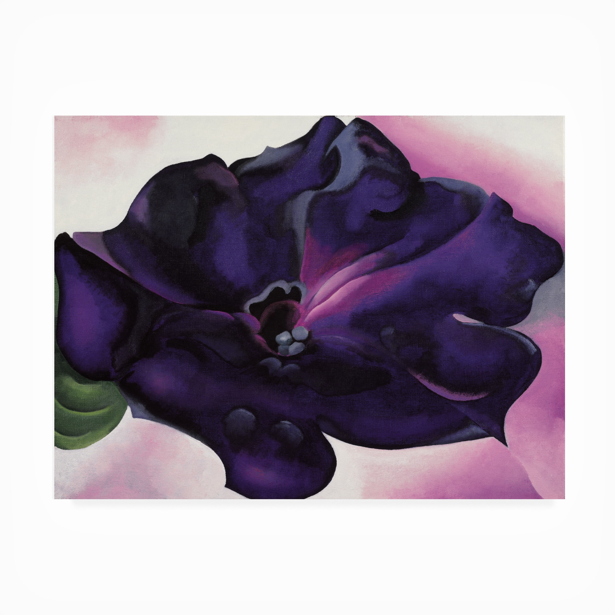 Georgia O'keefe 'Petunia' Outdoor Canvas
