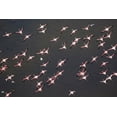 thumbnail image 2 of Souders, Paul 24x17 Gold Ornate Wood Framed with Double Matting Museum Art Print Titled - Africa-Tanzania-Aerial view of flock of Greater and Lesser Flamingos flying above salt waters, 2 of 4