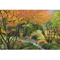 thumbnail image 2 of Paulson, Don 24x17 White Modern Wood Framed Museum Art Print Titled - Oregon, Portland Bridge and maple tree in autumn, 2 of 4