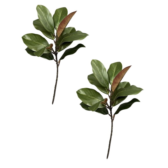 2Pcs Magnolia Branches Magnolia Leaves Magnolia Leaves Picks Realistic Magnolia Leaves Twigs Greenery Magnolia for Home Table Vase Indoor Outdoor Artificial Flowers 22.0" Happy 2026!