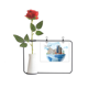 thumbnail image 1 of Viaje de avión Unidos Mount Botella de decoración de jarrones colgantes de flores rosas artificiales, 1 of 3