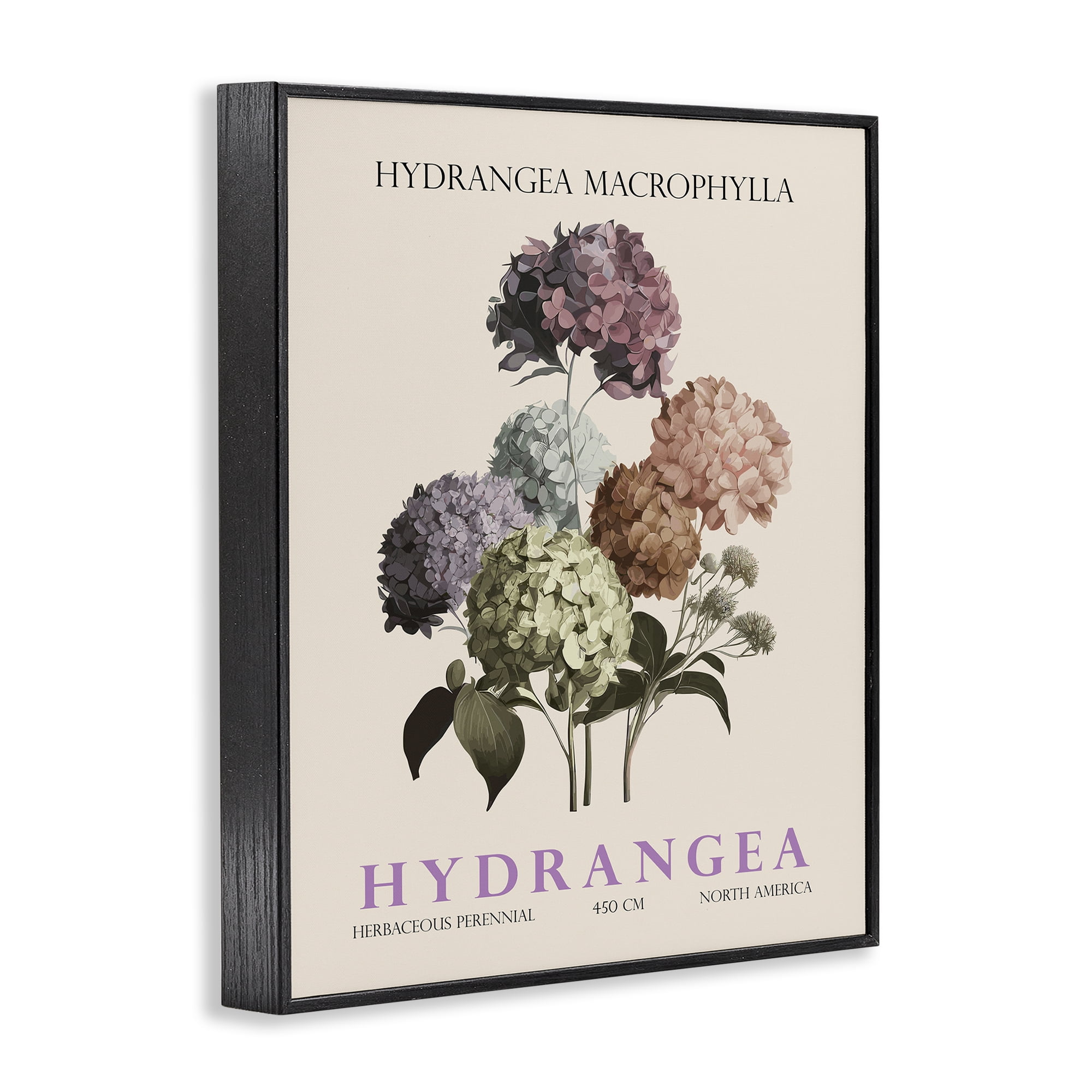 Stupell Industries Nature Hydrangea Bundle Black Framed Giclee Art, design by Christopher Giampietro
