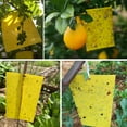 thumbnail image 6 of QARUN 20-Pack Double-Sided Sticky Insect Boards, Chemical-Free Attractant Stickers for Fruit Flies Gnats, Indoor Plant Pest Control Traps, 6 of 7