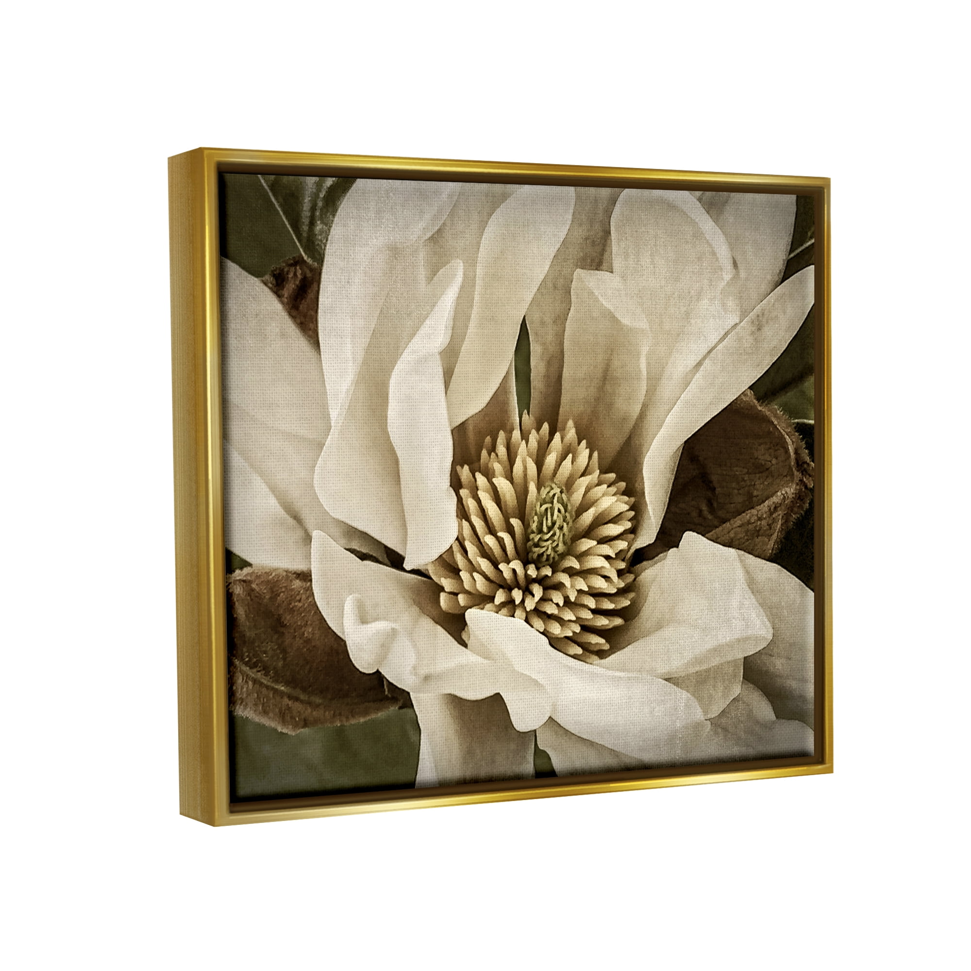 Stupell Industries Rustic Flower Close Up Botanical & Floral Photography Gold Floater Framed Canvas Art Print Wall Art, 31 x 25