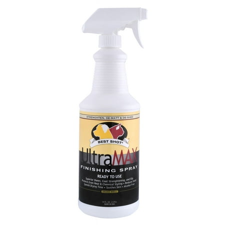 UPC: 0183941161204 | 34 oz Best Shot UltraMAX Pro Finishing Spray