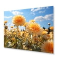 thumbnail image 2 of Designart "Sunlit Dandelion Petals I" Floral Metal Wall Art, 2 of 5
