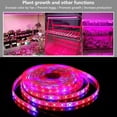 thumbnail image 3 of Cadena de luces para crecimiento de plantas, luz LED para crecimiento de plantas Cadena de luces LED para crecimiento de plantas Luz para plantas para invernadero Parte superior de la línea, 3 of 8