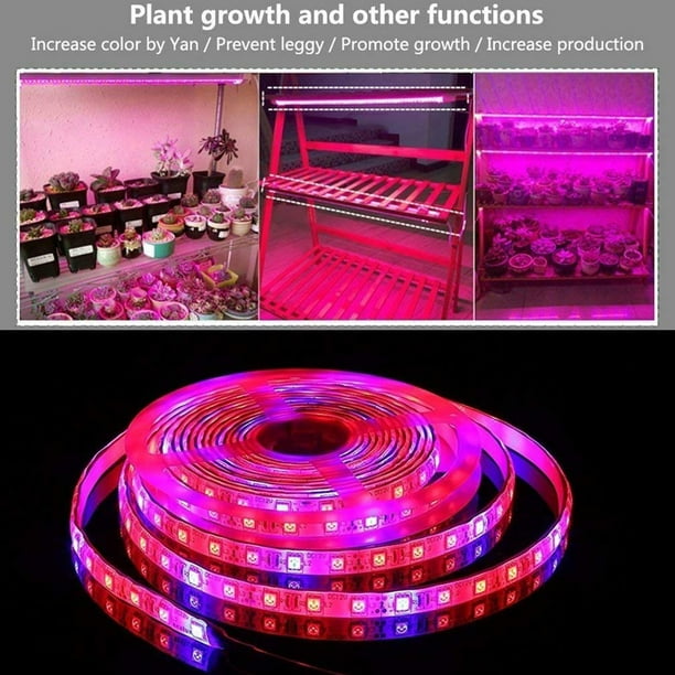 Cadena de luz LED NikouMX para crecimiento de plantas 1/3/5 M