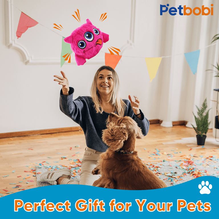 PETGEEK Interactive Dog Ball, Squeaky Dog Toy With Music And Recording