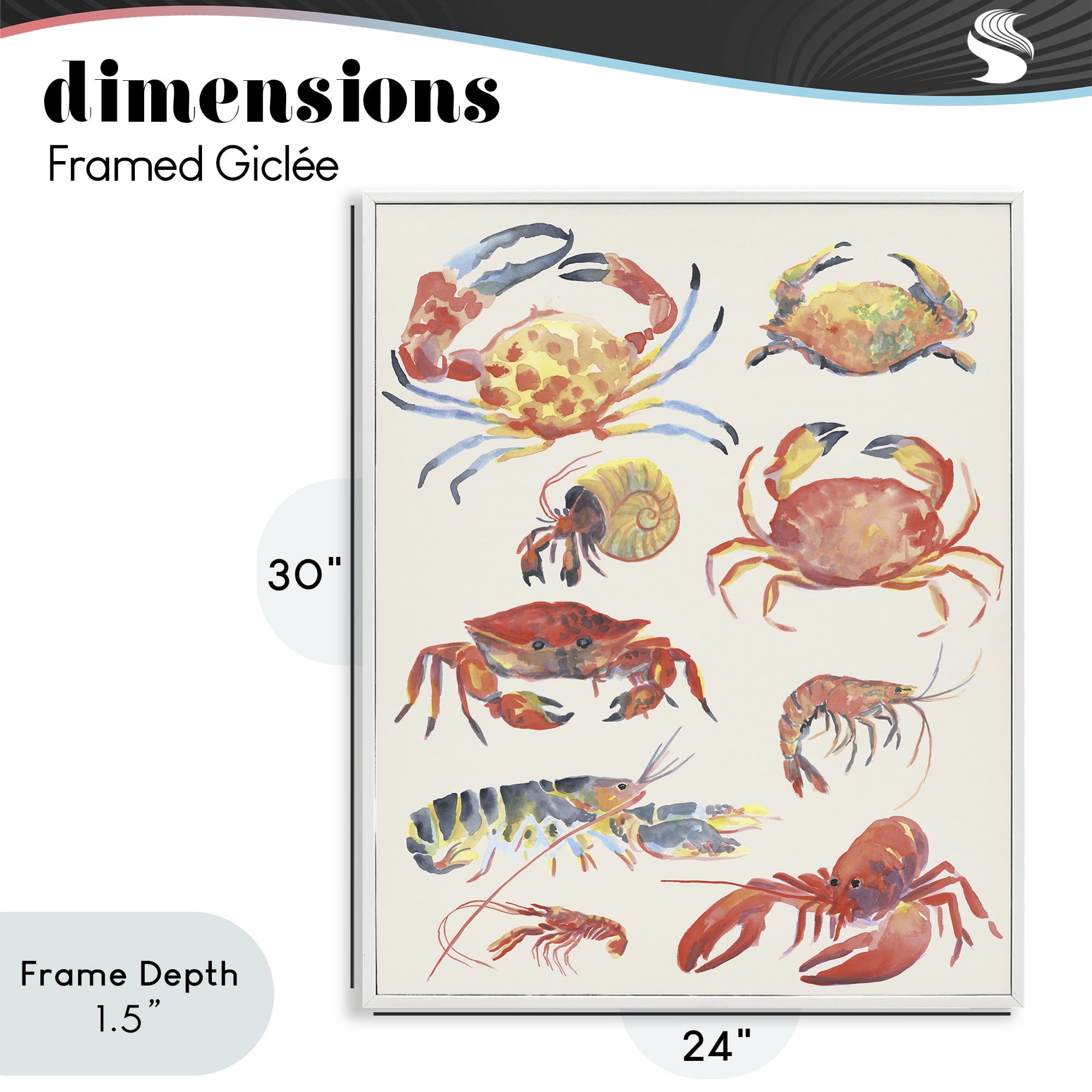 Stupell Industries Nautical Crustacean Collection White Framed Giclee Art, design by June Erica Vess