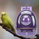thumbnail image 5 of Bolsa de viaje para pájaros Cápsu de para mascotas Cápsu Bolsa de viaje Portador de pájaros Púrpura Zulema Jaula para loros, 5 of 8