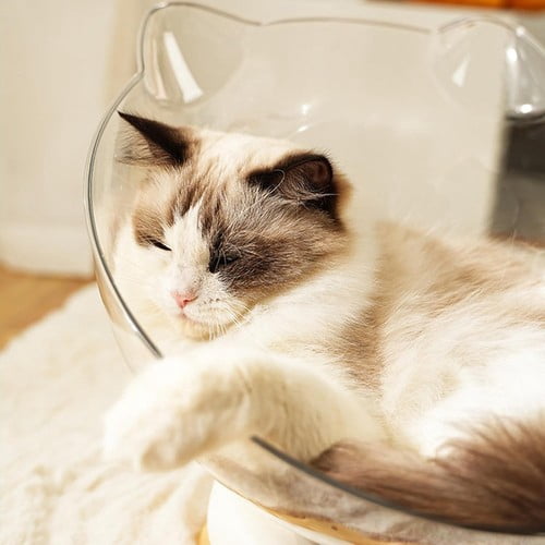 Colourtree Blue Kitten Bed – Space Nest Cat Bed with Non-Slip Rotatable Turntable