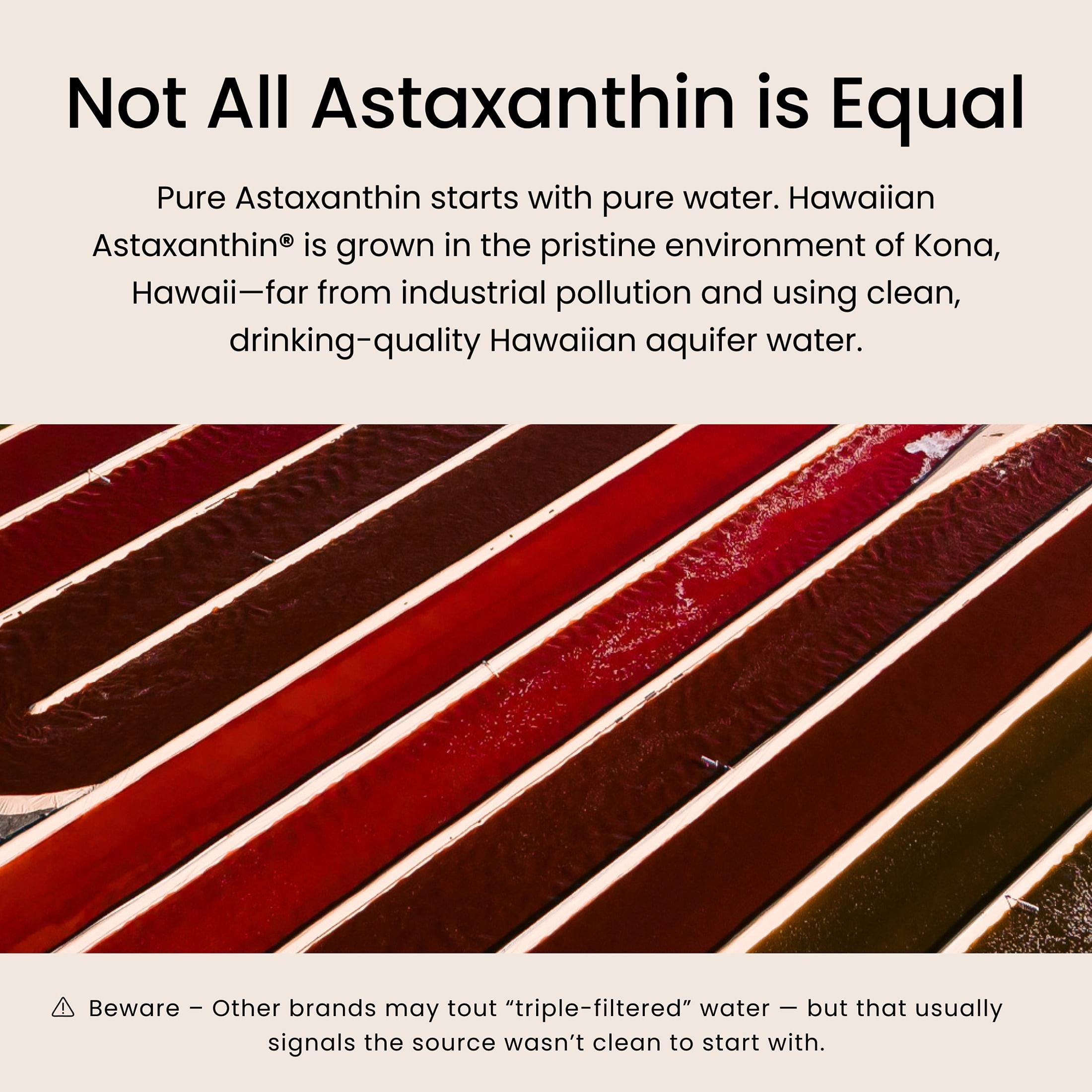 Nutrex Hawaii BioAstin Hawaiian Astaxanthin - Antioxidant Support for Skin and Immune Health - First-Class Microalgae Grown in Kona, Hawaii - Non-GMO and Gluten-Free- Vegan- 12mg Dosage, 75 Softgels