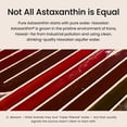 thumbnail image 5 of Nutrex Hawaii BioAstin Hawaiian Astaxanthin - Antioxidant Support for Skin and Immune Health - First-Class Microalgae Grown in Kona, Hawaii - Non-GMO and Gluten-Free- Vegan- 12mg Dosage, 75 Softgels, 5 of 8
