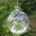 thumbnail image 2 of Flower Hanging Vase Glass Planter Plant Terrarium Container Home Wedding Decor Wall Sticked Creative Ball Shaped Vase Clear, 2 of 6