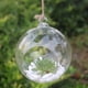 thumbnail image 1 of Jarrón colgante de flores, jardinera de cristal, contenedor de terrario for plantas, decoración de boda for el hogar, jarrón creativo en forma de bola pegado a la pared, transparente, 1 of 5